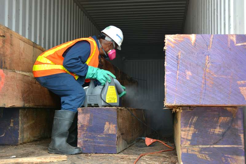 Emergency Pest Control